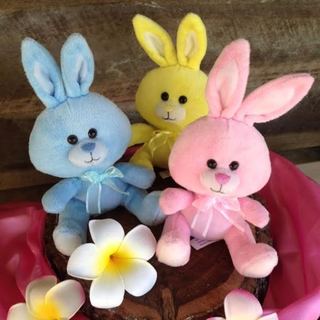 Plush Pastel Bunny Soft Toy