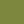(50) Cypress