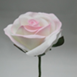 White/Pink Rose Velveteen Bloom Flower and Stem