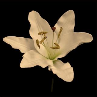 Off-White Real Touch Oriental Lily Flower Head