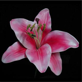 Dark Pink Real Touch Oriental Lily Flower Head