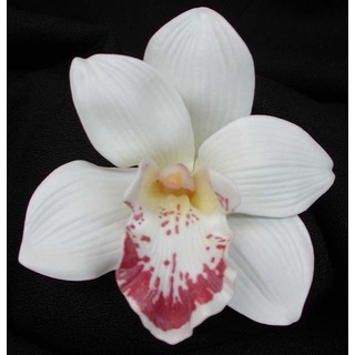White Real Touch Cymbidium Orchid Flower Head
