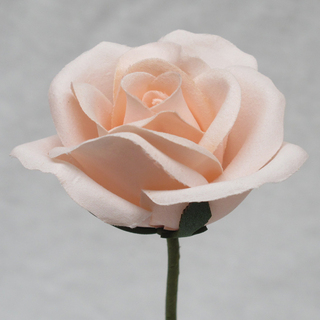 Peach Rose Velveteen Bloom Flower and Stem