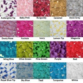 500pcs Brushed Silk Rose Petals