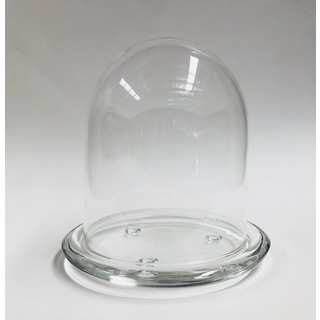 Small Glass Dome with Glass Base