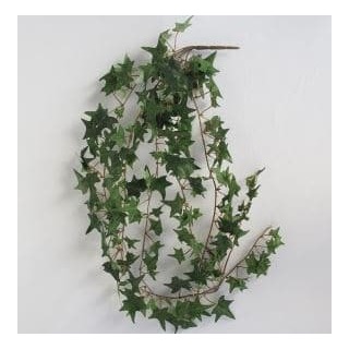 Small Ivy Spray
