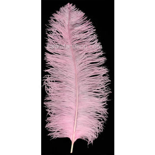 Ostrich Feathers Pink Ultra Large 50cm-60cm