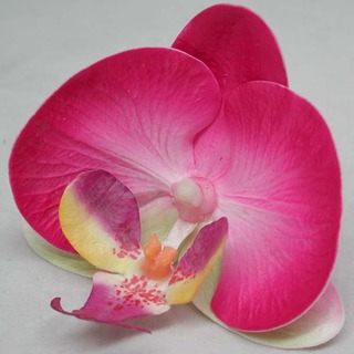 Real Touch Phalaenopsis Orchid Flower Head